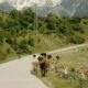 accidentes con animales en carretera. la dgt publica una guía clave para prevenirlos